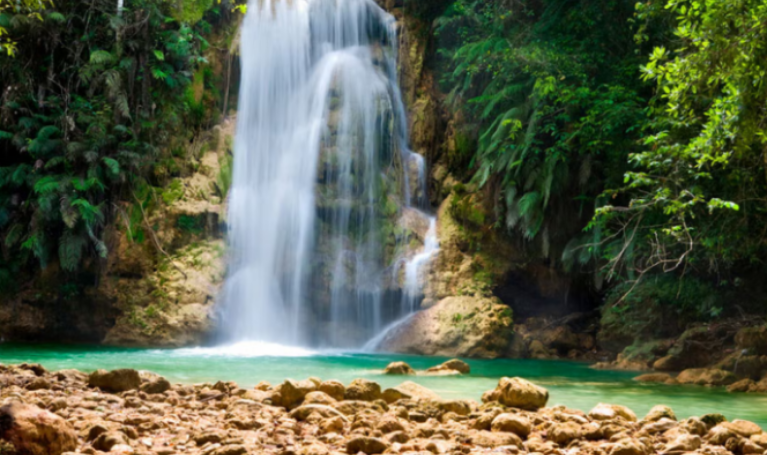 Punta Cana: Samana Full Day Trip Whale Cascada El Limon